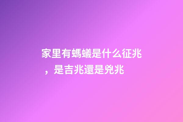 家里有螞蟻是什么征兆，是吉兆還是兇兆